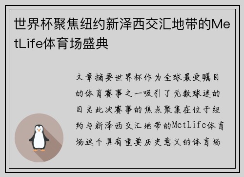 世界杯聚焦纽约新泽西交汇地带的MetLife体育场盛典 世界杯聚焦纽约新泽西交汇地带的MetLife体育场盛典
